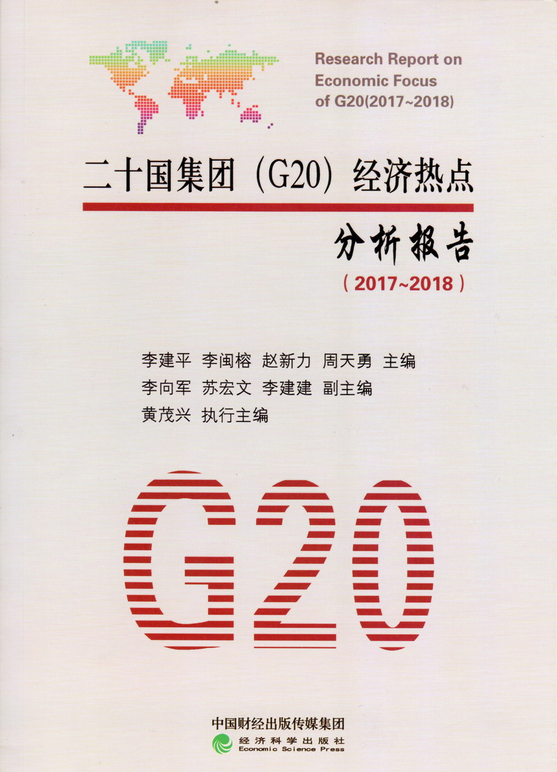 嗷嗷干爽啊啊二十国集团（G20）经济热点分析报告（2017-2018）